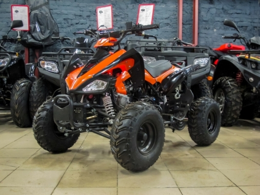 Квадроцикл Bison KXD Sport 110