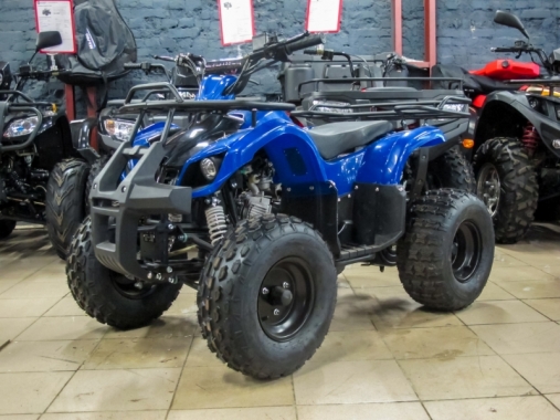 Квадроцикл Bison KXD 110U