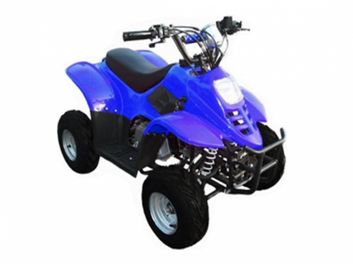 Квадроцикл Bison ATV A-07 110 cc