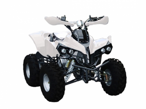 Квадроцикл Bison ATV A-55 125 cc 8"