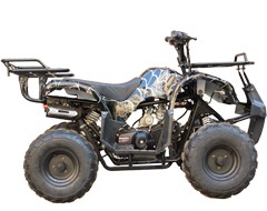 Квадроцикл Bison 110 Black