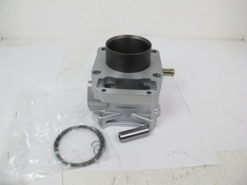 ЦПГ (поршневая) ZS170MM-2 (водянка 4кл)