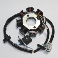 Статор генератора (6+2 катушки) 139QMB 50/80см3
