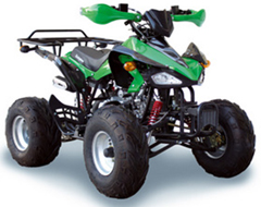Квадроцикл &laquo;BISON 110&nbsp;SPORT&raquo;