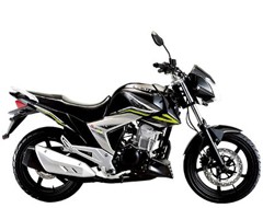 Мотоцикл Lifan LF250-3A (POWERMAN 250)