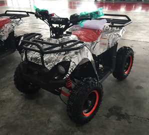Детский электро квадроцикл MOTAX 1000W