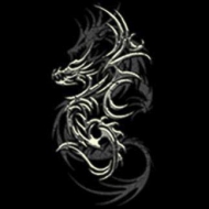 Футболка светящаяся в темноте Tattoo GT-85 Rock Eagle