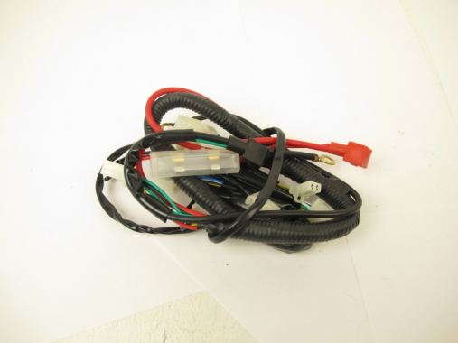 Жгут проводов TTR110