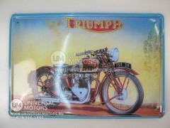 Панно винтажное (как в МОТО-барах, эстамп (сталь) +краска) 30*20 см TRIUMPH