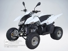 Квадроцикл SYM QuadRaider 300 SD