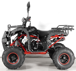 Квадроцикл бензиновый MOTAX ATV Grizlik NEW Super LUX 125 cc