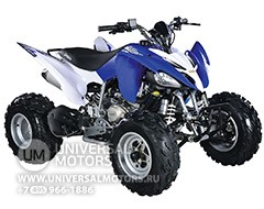 Квадроцикл АВМ Scorpion 250 B