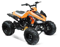 Квадроцикл IRBIS ATV110S